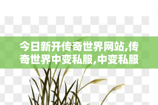 今日新开传奇世界网站,传奇世界中变私服,中变私服发布网,传奇世界中变私服