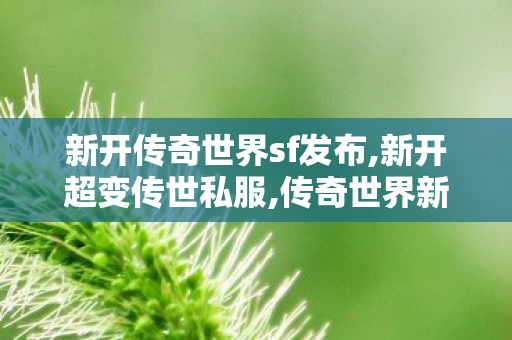 新开传奇世界sf发布,新开超变传世私服,传奇世界新开服的网站,新开超变传世私服