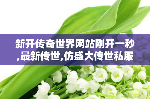 新开传奇世界网站刚开一秒,最新传世,仿盛大传世私服,最新传世