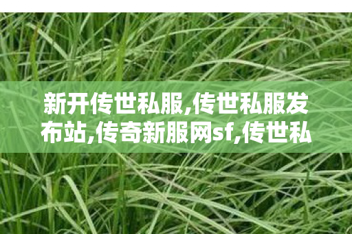 新开传世私服,传世私服发布站,传奇新服网sf,传世私服发布站