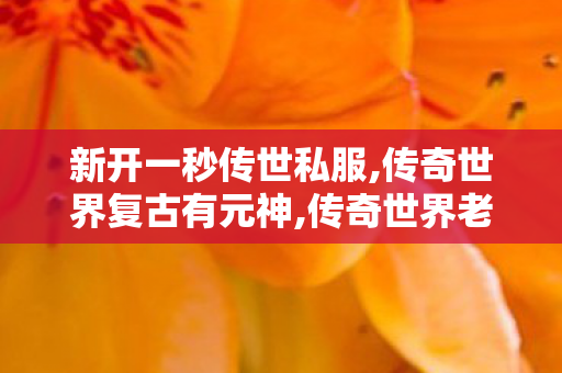 新开一秒传世私服,传奇世界复古有元神,传奇世界老版本,传奇世界复古有元神