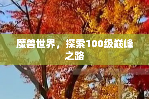 魔兽世界，探索100级巅峰之路