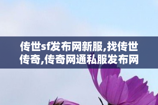 传世sf发布网新服,找传世传奇,传奇网通私服发布网,找传世传奇