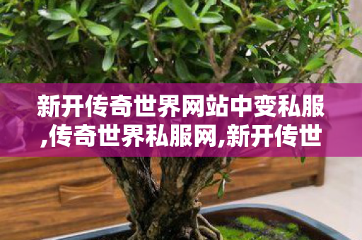 新开传奇世界网站中变私服,传奇世界私服网,新开传世中变私服,传奇世界私服网