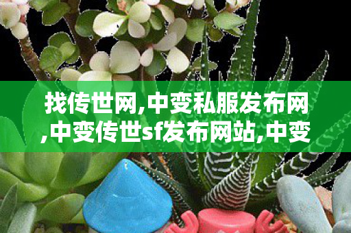 找传世网,中变私服发布网,中变传世sf发布网站,中变私服发布网