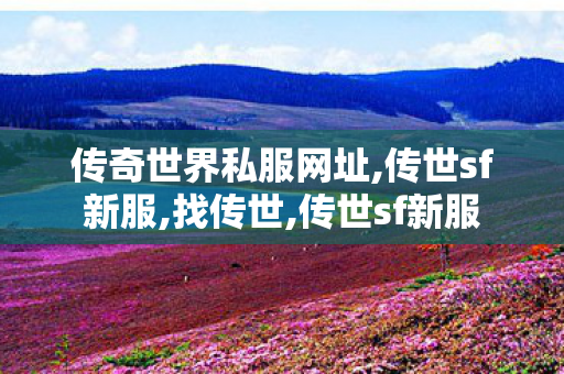 传奇世界私服网址,传世sf新服,找传世,传世sf新服