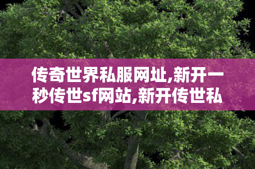 传奇世界私服网址,新开一秒传世sf网站,新开传世私服开服表,新开一秒传世sf网站