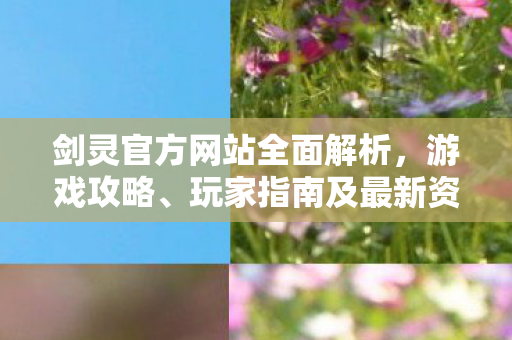 剑灵官方网站全面解析，游戏攻略、玩家指南及最新资讯一览