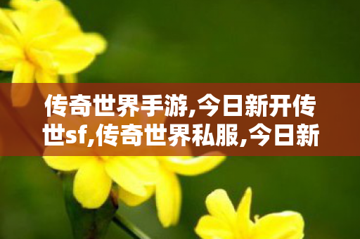 传奇世界手游,今日新开传世sf,传奇世界私服,今日新开传世sf