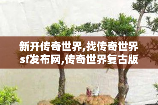新开传奇世界,找传奇世界sf发布网,传奇世界复古版本,找传奇世界sf发布网