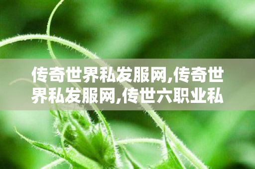 传奇世界私发服网,传奇世界私发服网,传世六职业私服,传奇世界私发服网
