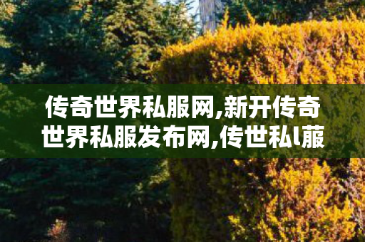 传奇世界私服网,新开传奇世界私服发布网,传世私l菔,新开传奇世界私服发布网