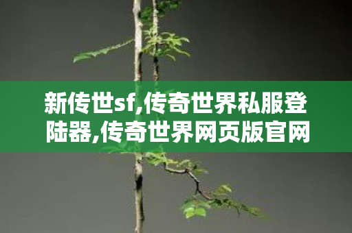 新传世sf,传奇世界私服登陆器,传奇世界网页版官网,传奇世界私服登陆器
