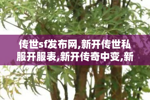 传世sf发布网,新开传世私服开服表,新开传奇中变,新开传世私服开服表