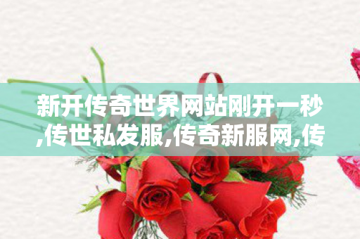 新开传奇世界网站刚开一秒,传世私发服,传奇新服网,传世私发服