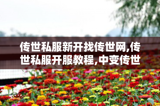 传世私服新开找传世网,传世私服开服教程,中变传世sf发布网站,传世私服开服教程