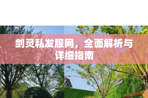 剑灵私发服网，全面解析与详细指南