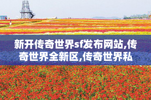 新开传奇世界sf发布网站,传奇世界全新区,传奇世界私服,传世sf网站,传奇世界全新区