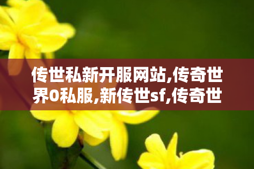 传世私新开服网站,传奇世界0私服,新传世sf,传奇世界0私服