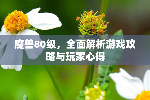 魔兽80级，全面解析游戏攻略与玩家心得