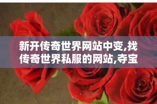 新开传奇世界网站中变,找传奇世界私服的网站,夺宝传世sf,找传奇世界私服的网站