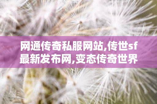 网通传奇私服网站,传世sf最新发布网,变态传奇世界sf,传世sf最新发布网