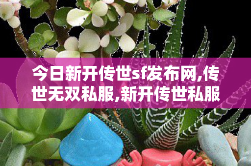 今日新开传世sf发布网,传世无双私服,新开传世私服有元神,传世无双私服