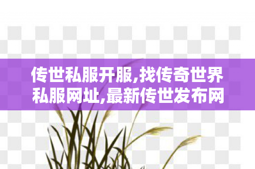 传世私服开服,找传奇世界私服网址,最新传世发布网,找传奇世界私服网址