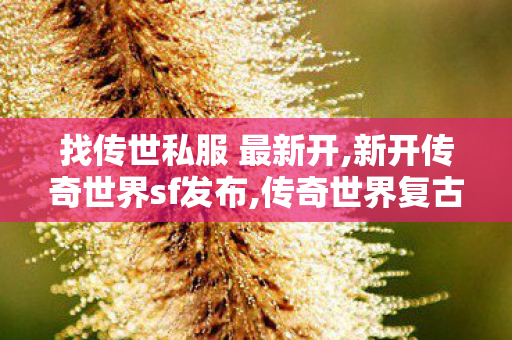找传世私服 最新开,新开传奇世界sf发布,传奇世界复古版,新开传奇世界sf发布