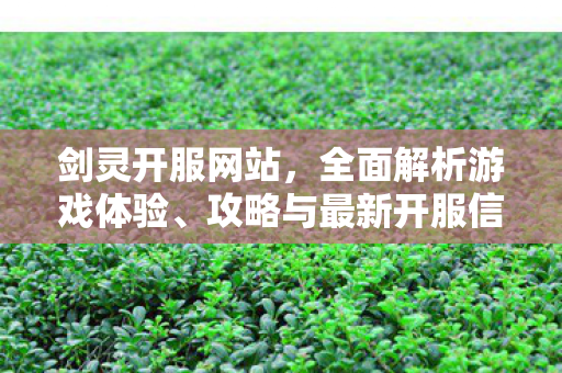 剑灵开服网站，全面解析游戏体验、攻略与最新开服信息