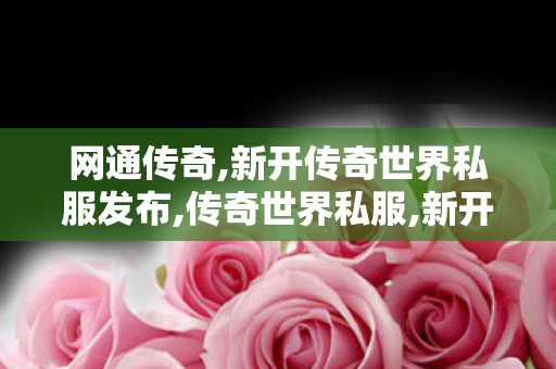 网通传奇,新开传奇世界私服发布,传奇世界私服,新开私服,新开传奇世界私服发布