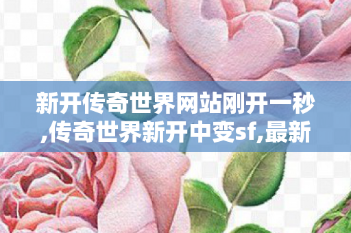 新开传奇世界网站刚开一秒,传奇世界新开中变sf,最新传世sf网站,传奇世界新开中变sf