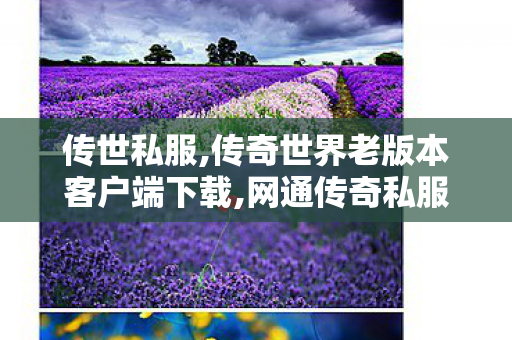 传世私服,传奇世界老版本客户端下载,网通传奇私服发布网站,传奇世界老版本客户端下载