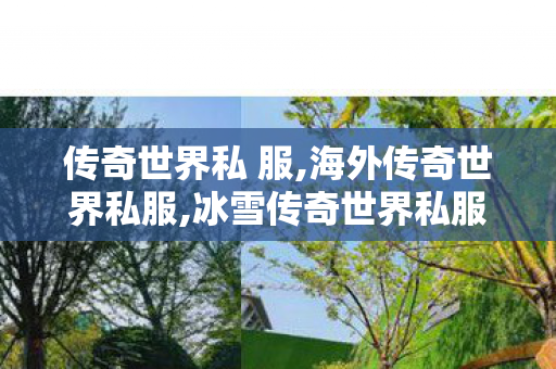 传奇世界私 服,海外传奇世界私服,冰雪传奇世界私服,海外传奇世界私服
