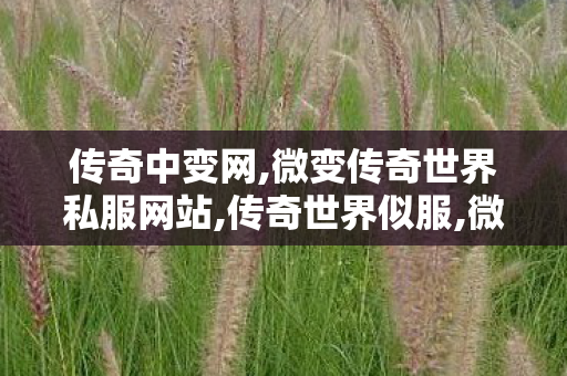 传奇中变网,微变传奇世界私服网站,传奇世界似服,微变传奇世界私服网站