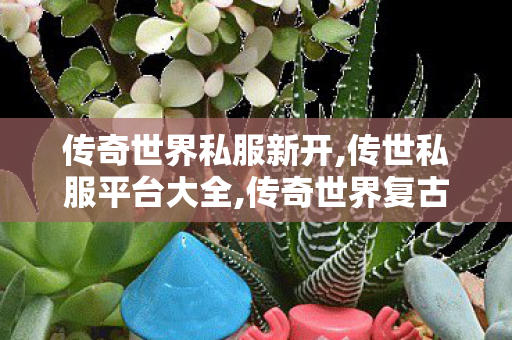 传奇世界私服新开,传世私服平台大全,传奇世界复古版,传世私服平台大全