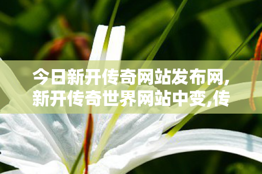 今日新开传奇网站发布网,新开传奇世界网站中变,传世网站新开网,新开传奇世界网站中变