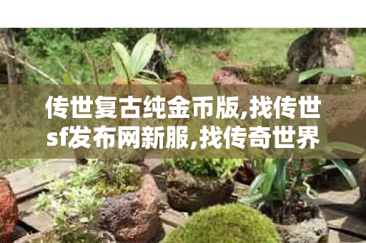 传世复古纯金币版,找传世sf发布网新服,找传奇世界私服网址,找传世sf发布网新服