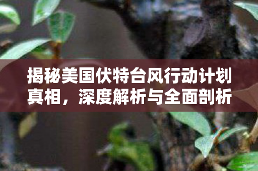 揭秘美国伏特台风行动计划真相，深度解析与全面剖析