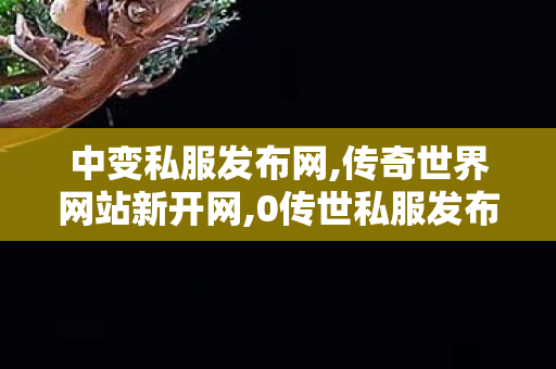 中变私服发布网,传奇世界网站新开网,0传世私服发布网站,传奇世界网站新开网