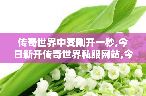 传奇世界中变刚开一秒,今日新开传奇世界私服网站,今日新开传世sf网,今日新开传奇世界私服网站