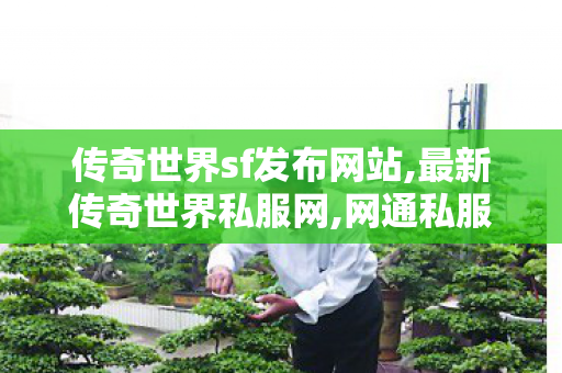 传奇世界sf发布网站,最新传奇世界私服网,网通私服发布网,最新传奇世界私服网