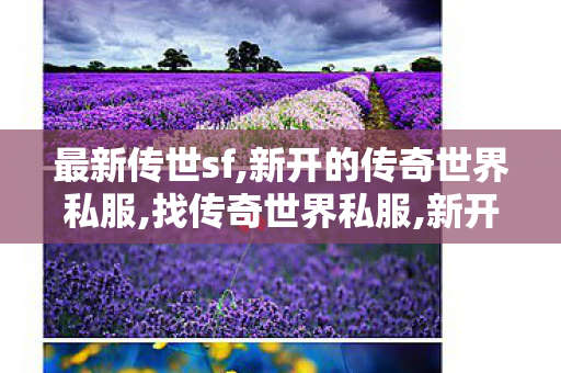 最新传世sf,新开的传奇世界私服,找传奇世界私服,新开的传奇世界私服