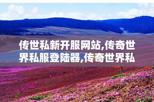 传世私新开服网站,传奇世界私服登陆器,传奇世界私服发布网站,传奇世界私服登陆器
