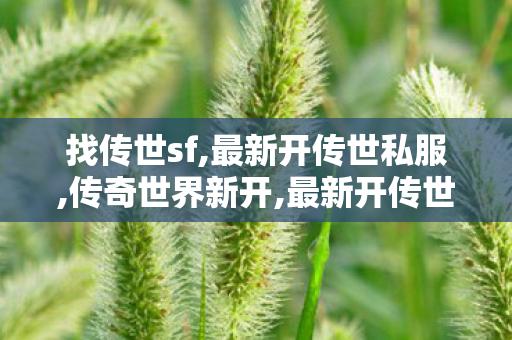 找传世sf,最新开传世私服,传奇世界新开,最新开传世私服