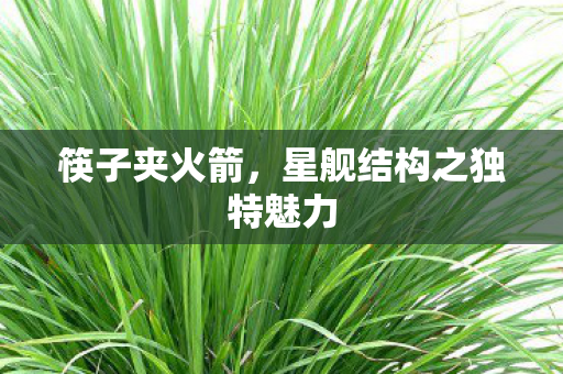 筷子夹火箭，星舰结构之独特魅力
