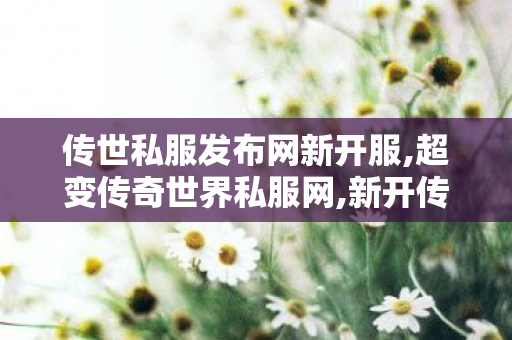 传世私服发布网新开服,超变传奇世界私服网,新开传奇世界网站中变私服,超变传奇世界私服网