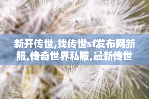 新开传世,找传世sf发布网新服,传奇世界私服,最新传世私服,找传世sf发布网新服