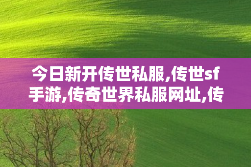 今日新开传世私服,传世sf手游,传奇世界私服网址,传世sf手游