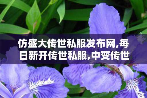 仿盛大传世私服发布网,每日新开传世私服,中变传世私发服网,每日新开传世私服